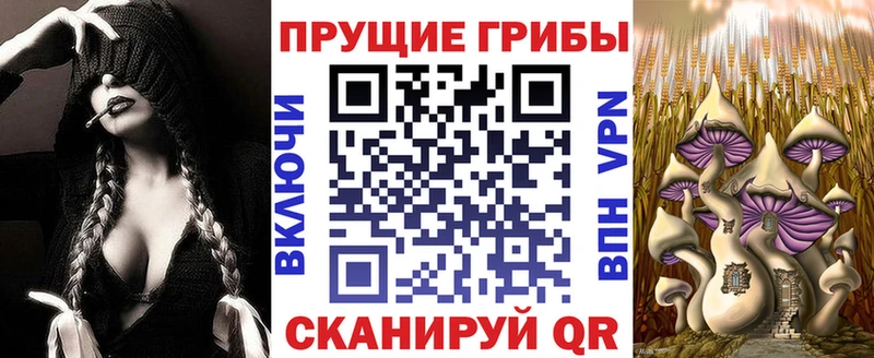 Галлюциногенные грибы GOLDEN TEACHER  что такое   Орск 